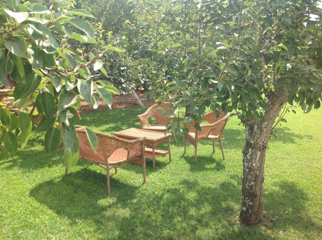 Agriturismo L'Agrumeto Otranto Dış mekan fotoğraf